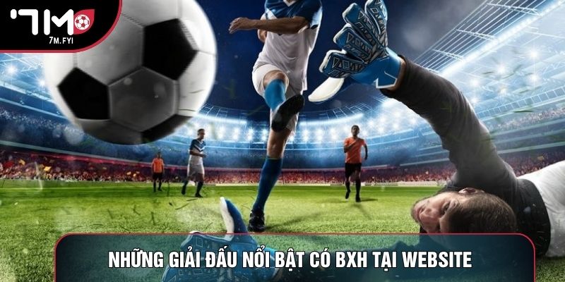 Những giải đấu nổi bật có BXH tại website