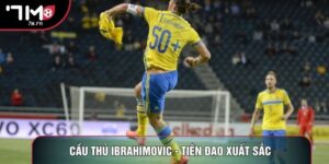 Cầu Thủ Ibrahimovic - Tiền Đạo Xuất Sắc Làng Bóng Đá