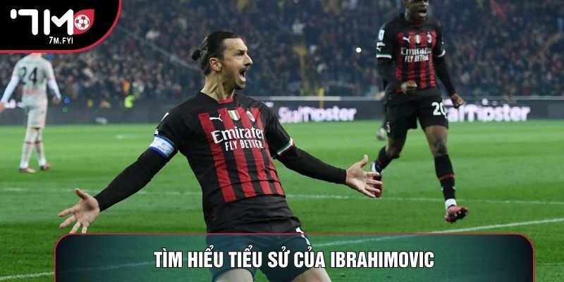 Tìm hiểu tiểu sử của Ibrahimovic