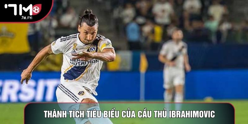 Thành tích tiêu biểu của cầu thủ Ibrahimovic