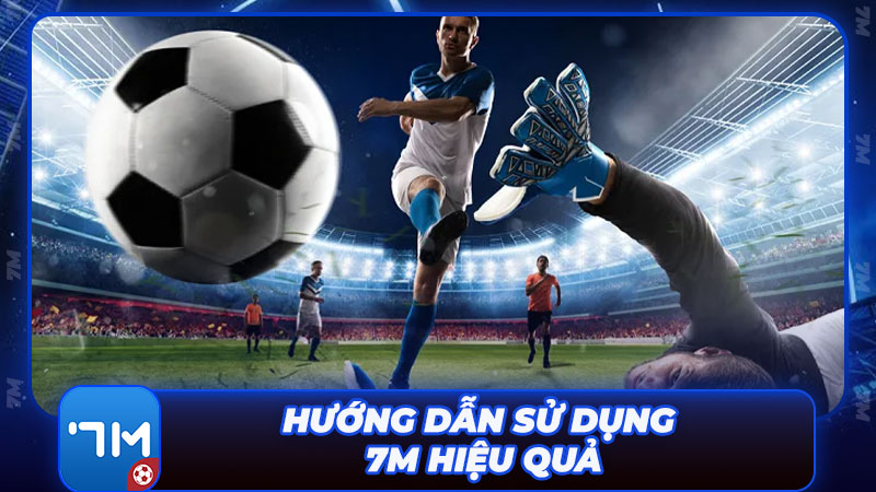 Hướng dẫn sử dụng các tính năng trên trang hiệu quả