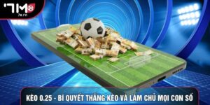 Kèo 0.25 - Bí Quyết Thắng Kèo Và Làm Chủ Mọi Con Số