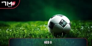 Kèo 0: Trận Chiến Cân Não Phía Sau Bảng Tỷ Lệ Châu Á