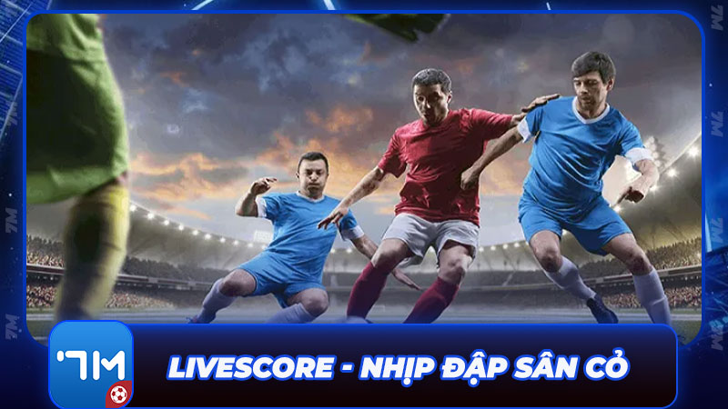 Livescore - Nhịp đập sân cỏ trong lòng bàn tay