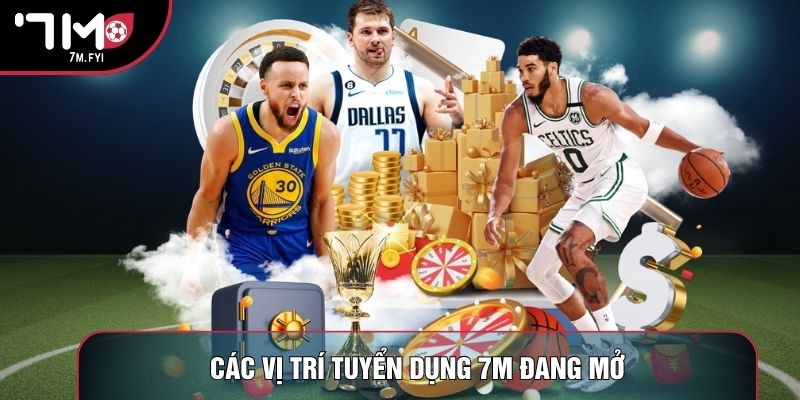 Các vị trí tuyển dụng 7M đang mở