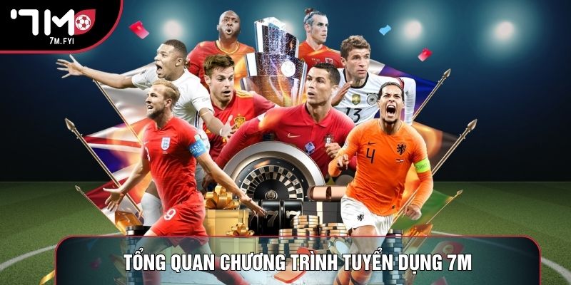 Tổng quan chương trình tuyển dụng 7M